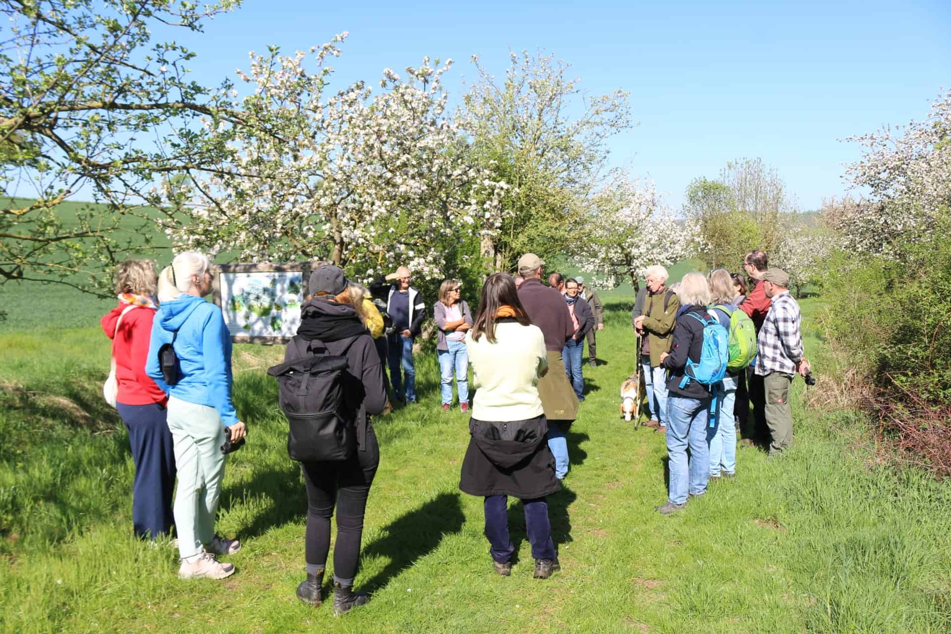 Verschiedene Personen auf einer Streuobstwiese