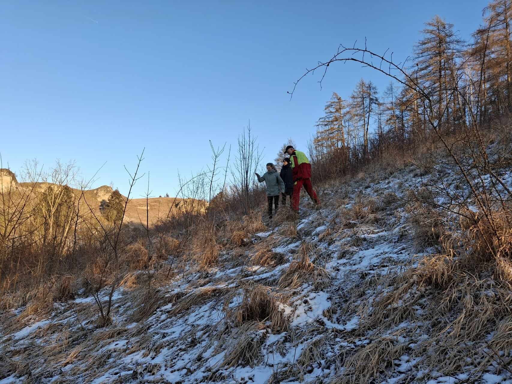 Teilfläche des Schulbergs vor der Maßnahmenumsetzung im Januar 2025